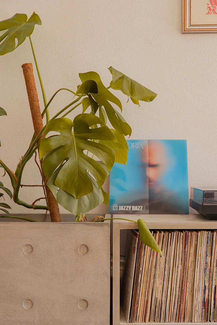 Concrete storage cube for plants and vinyl records